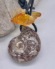 ALB_05_005