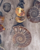 ALB_06_001