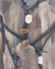ALB_07_002