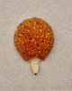 BEI_01_001