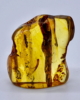 BEU_06_001