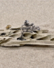 BKA_16_001