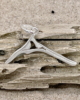 BKA_17_001