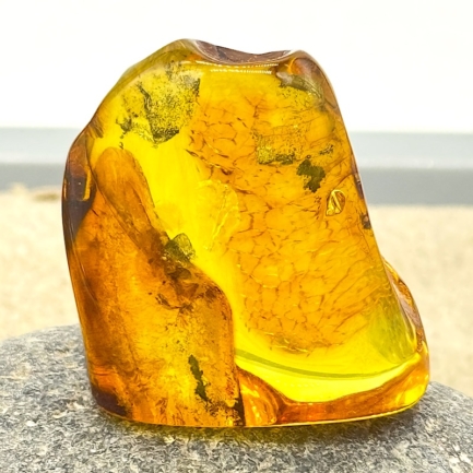 Exclusives Vitrinenstück - Bernstein 3