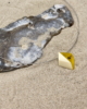 KMB_09_002