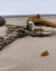 BKA_53_003