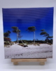 EFL_01_001