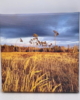 EFL_07_001