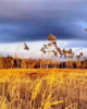 EFL_07_002