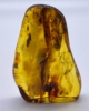 BEU_04_001