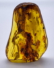 BEU_04_003
