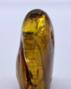 BEU_05_002
