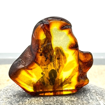 Exclusives Vitrinenstück – Bernstein 7