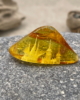 LTS_08_001