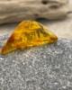 LTS_08_004