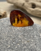LTS_09_001