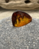LTS_09_002