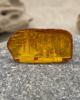 LTS_10_001