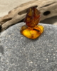 LTS_16_002