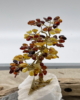 BEB_03_004