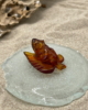 TWL_06_003