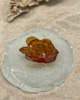 TWL_19_004